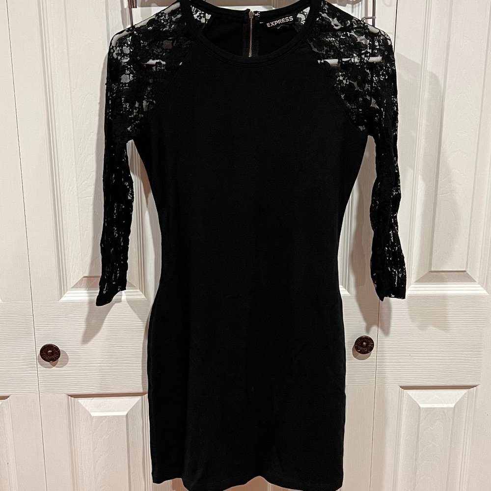 Express Lace Sleeve Dress